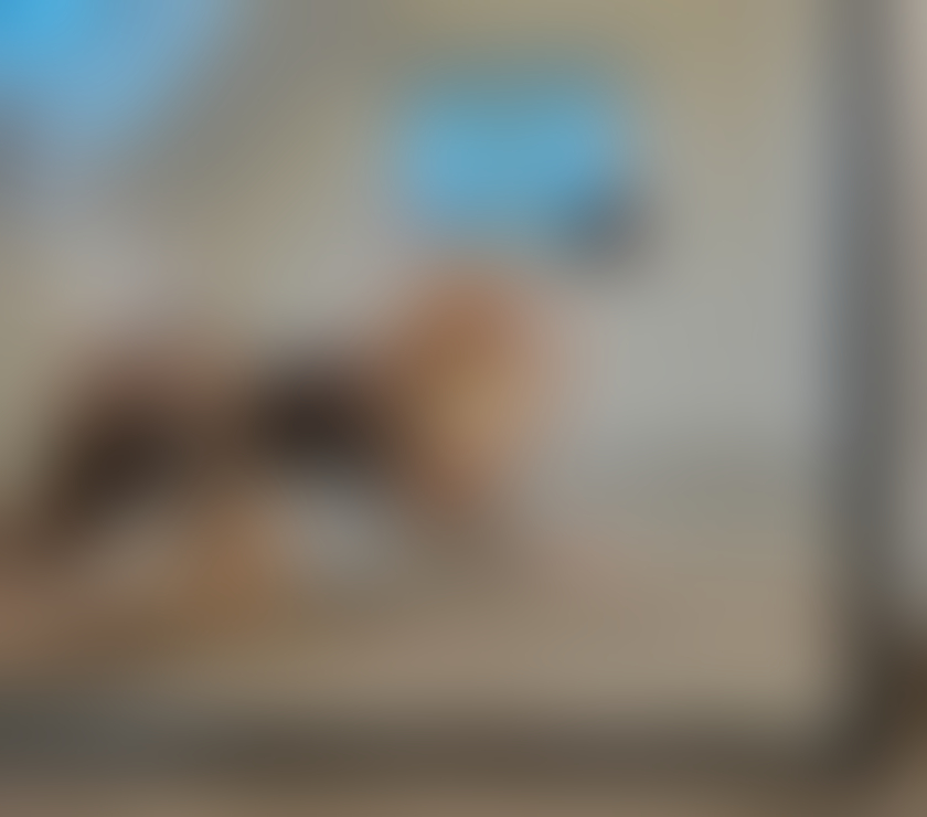 Escorts Wiltshire Swindon - Photos for Beatrice now in your town